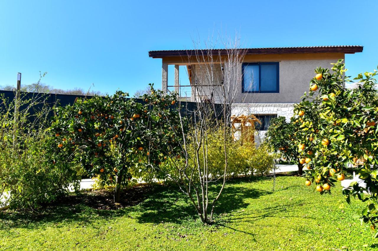 Volans Suites Villas 페티예 외부 사진